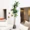 8ft. Potted Green Artificial Dracaena Tree with Real Touch Leaves